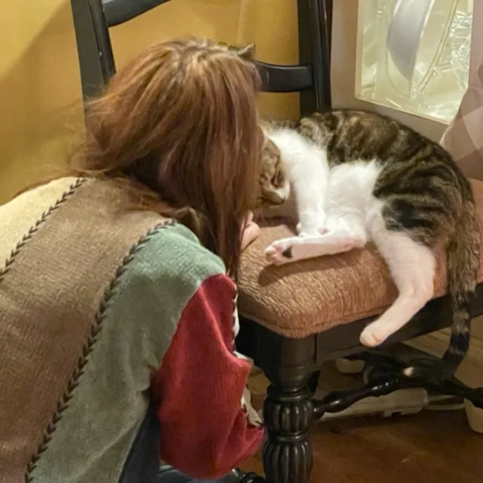 Amber The Whisker Watcher