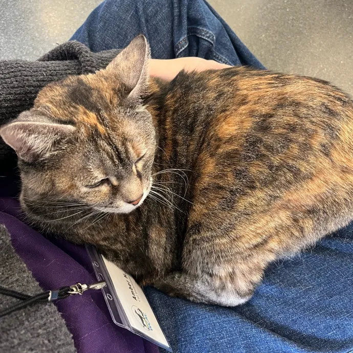Amber The Whisker Watcher photo 3
