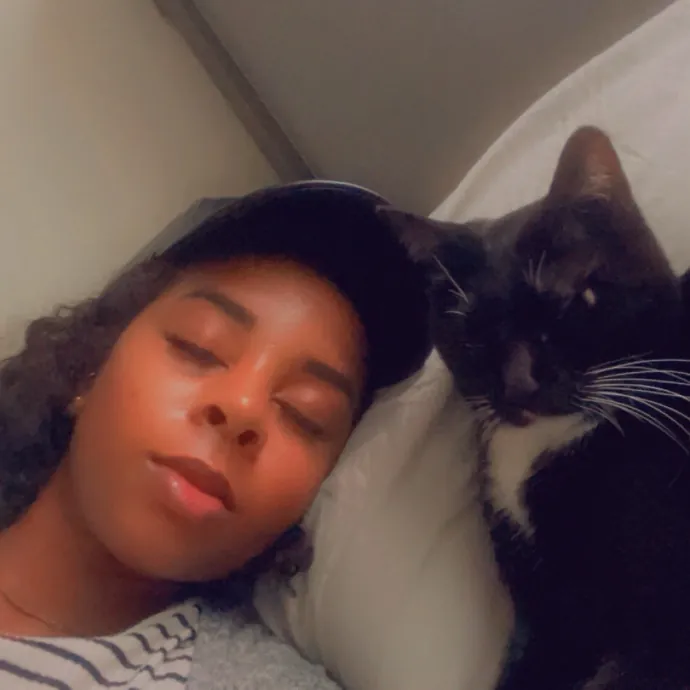 Meowgical Moments Five-Star Care