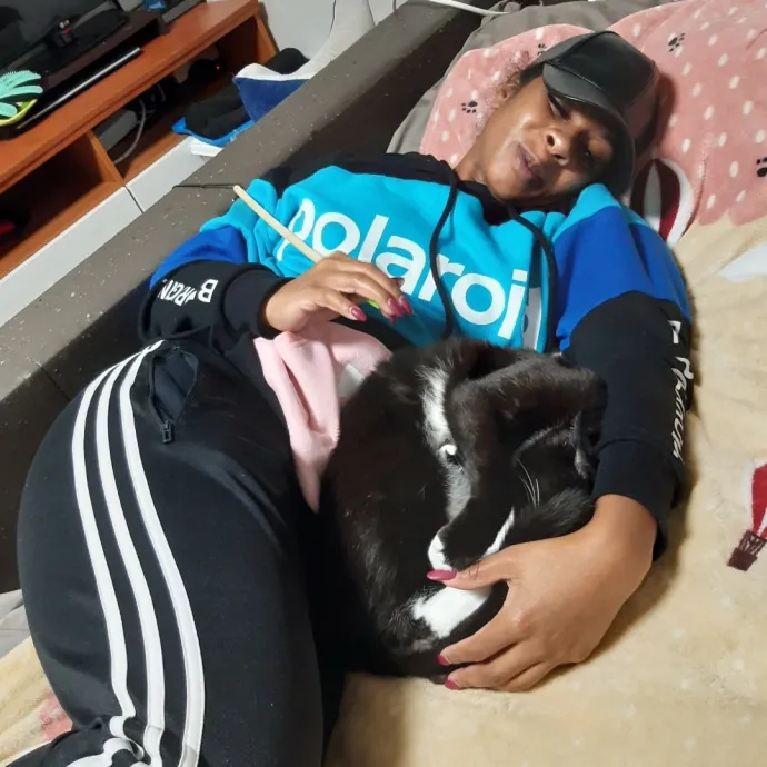 Meowgical Moments Five-Star Care