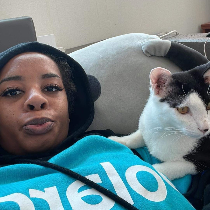 Meowgical Moments Five-Star Care
