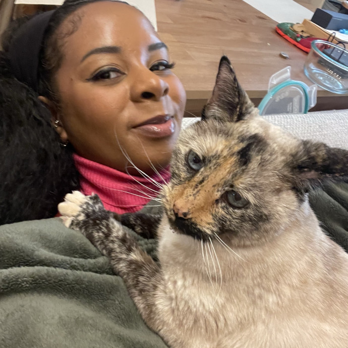 Meowgical Moments Five-Star Care photo 2