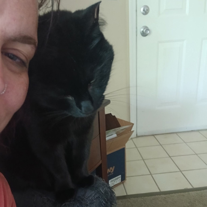 Ready To Love On Your Furry Friends