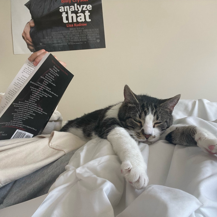 Paws-Itively Great Cat Sitting For You