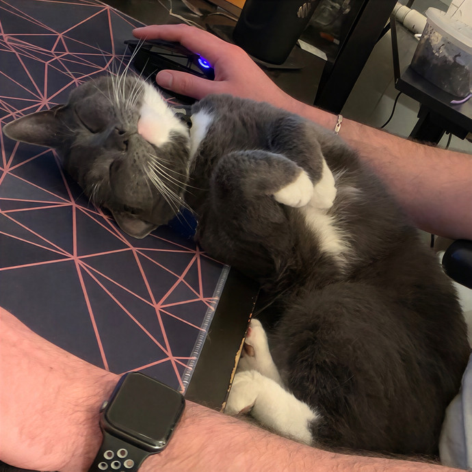 Nova Cool Cat Care