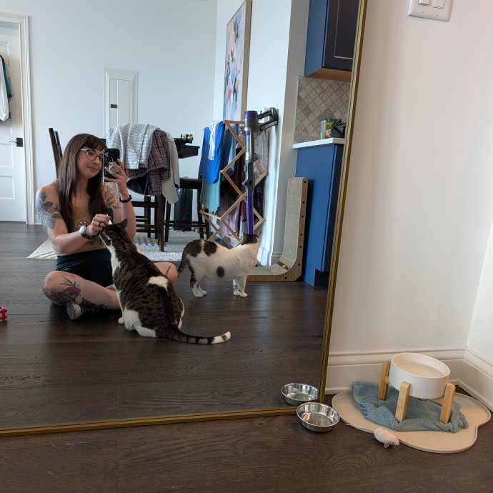 Gretchen Cares For Cats Columbus