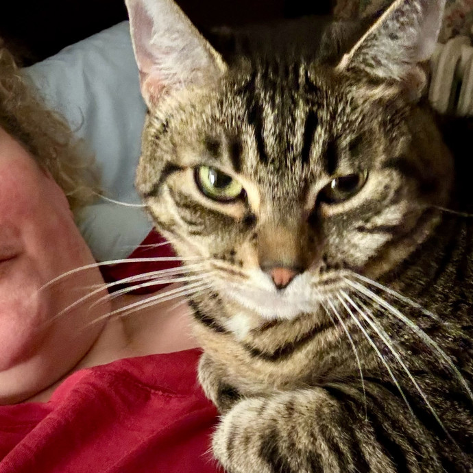Experienced Petcare Provider photo 2