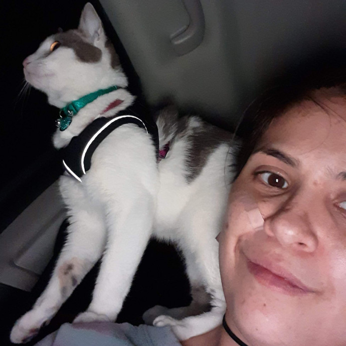 Calm Caring Cat-Savvy Sitter photo 2