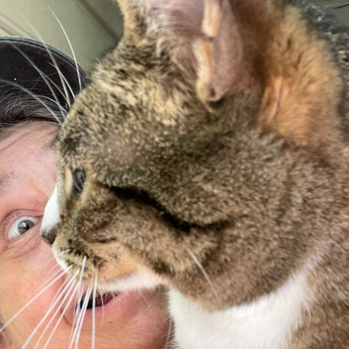Your Cat's Whims Are My Commands