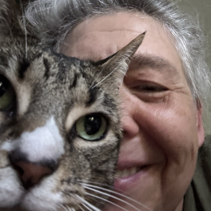 Your Cat's Whims Are My Commands