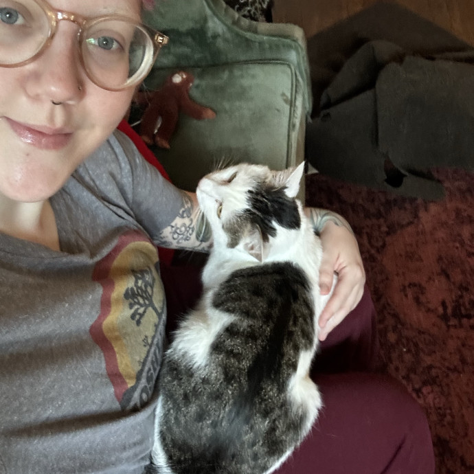 Katie's City Kitty Care
