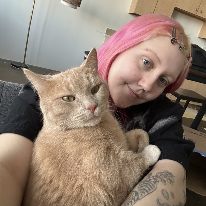 Katie's City Kitty Care