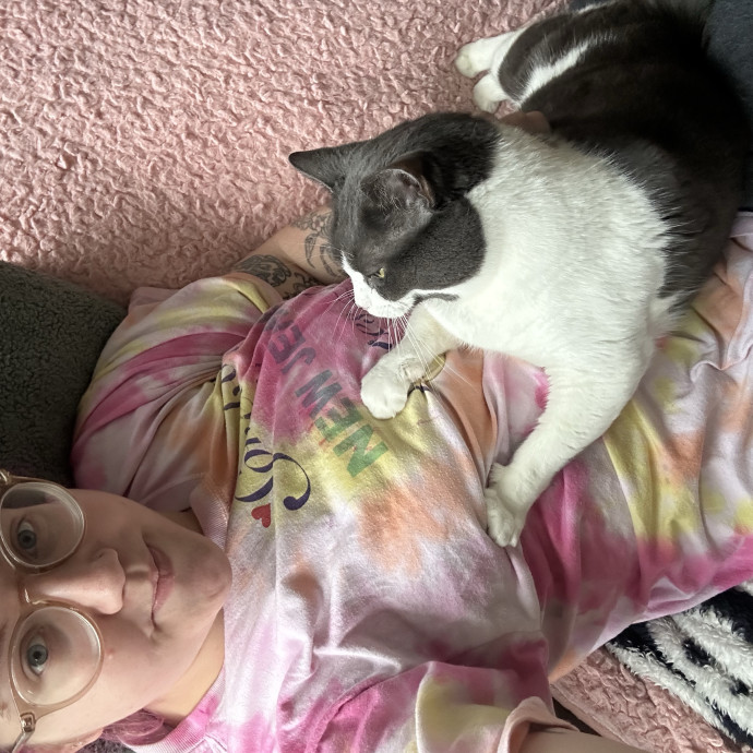 Katie's City Kitty Care