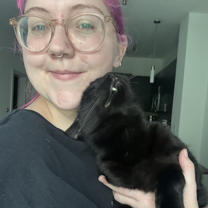 Katie's City Kitty Care