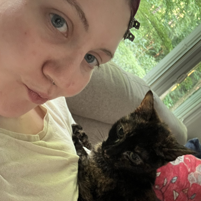Katie's City Kitty Care photo 2