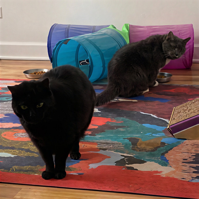Meowdy Purrrrtners