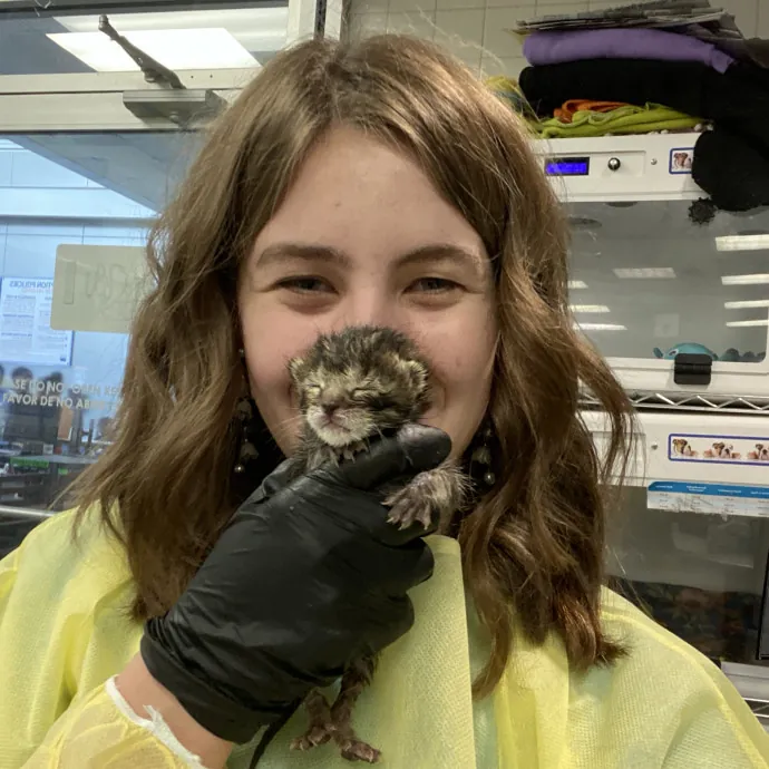 Tirzah- Trusted Kitty Companion