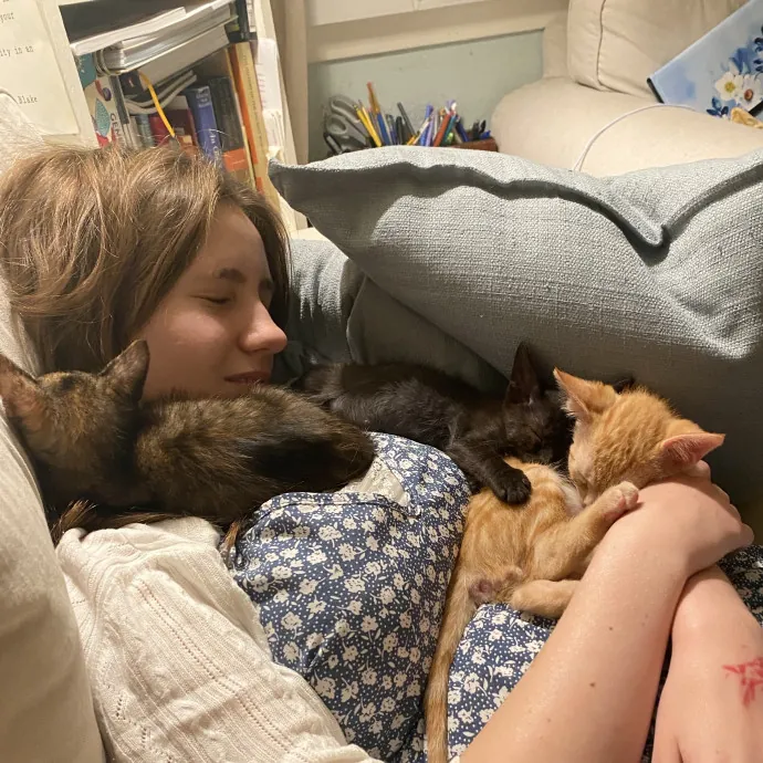 Tirzah- Trusted Kitty Companion