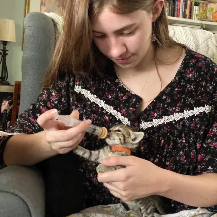 Tirzah- Trusted Kitty Companion