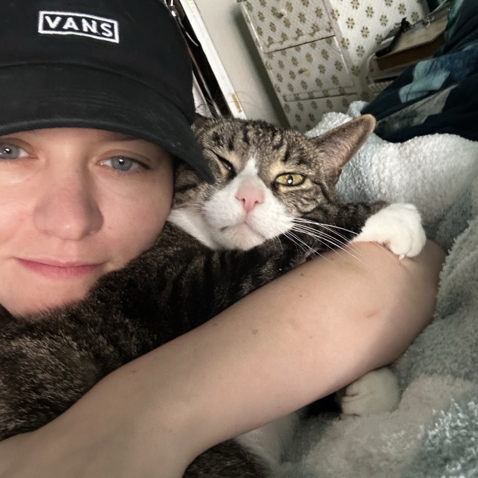 Professional Cat Spoiler
