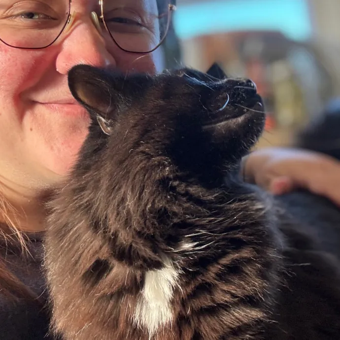 Your Cat's Favorite Auntie