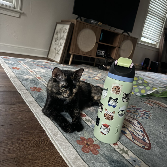 Your Cat's Favorite Auntie