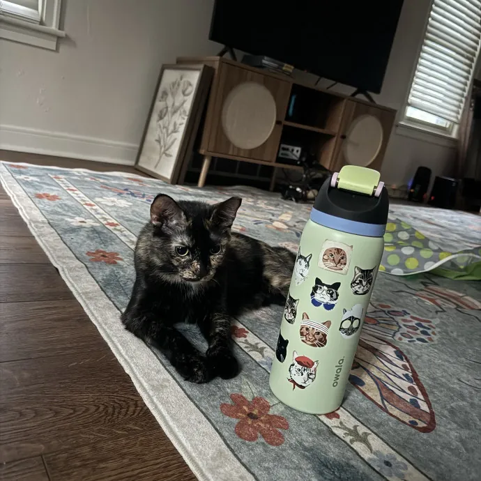 Your Cat's Favorite Auntie