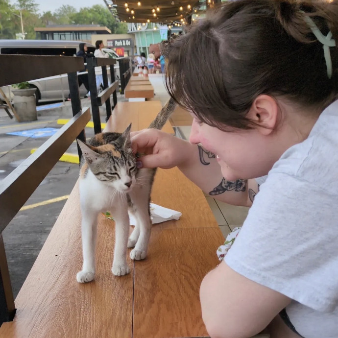 Your Cat's Favorite Auntie