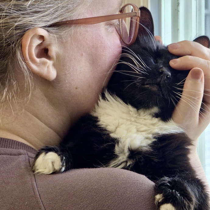 Reliable Cat Sitting By Nicole