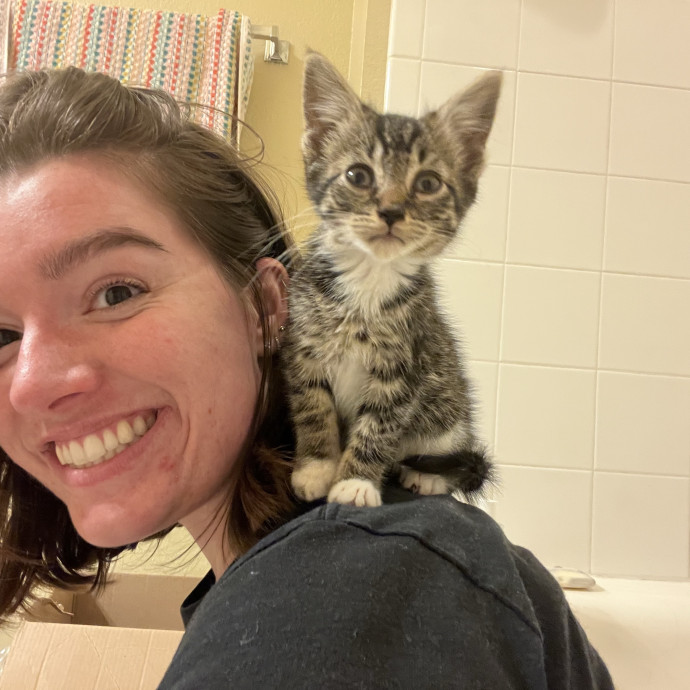 Purr-Fessional Cat Nanny