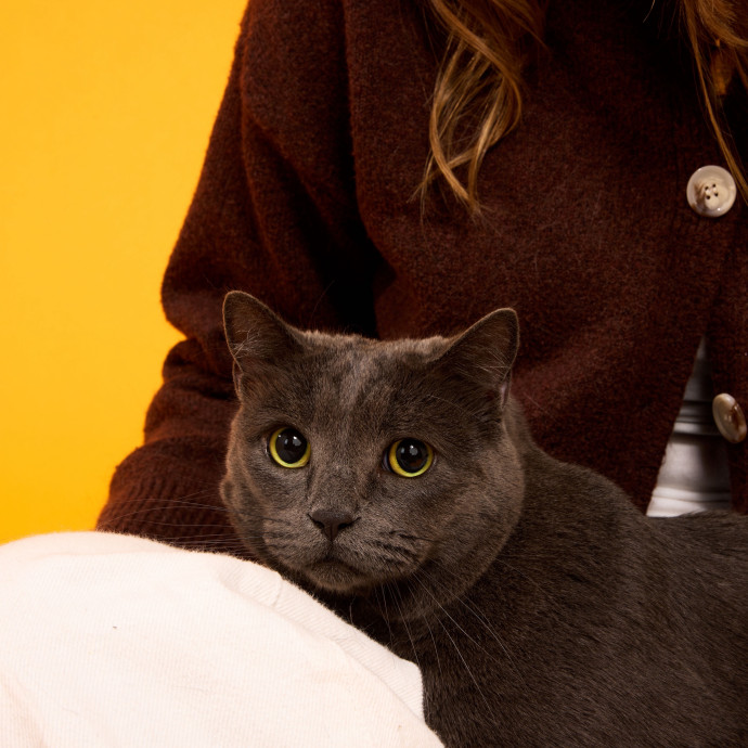 Hannah The Fur Baby Pro photo 2
