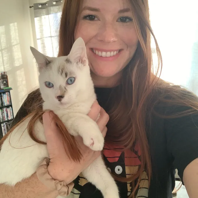 Pawsome Cat Sitting