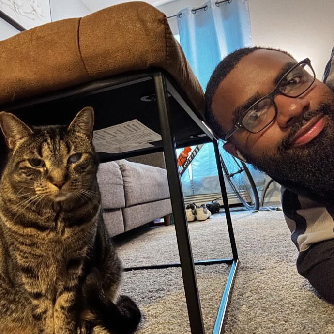 Cat Sitter With Multi Cat Experience