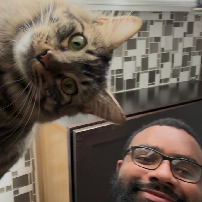 Cat Sitter With Multi Cat Experience