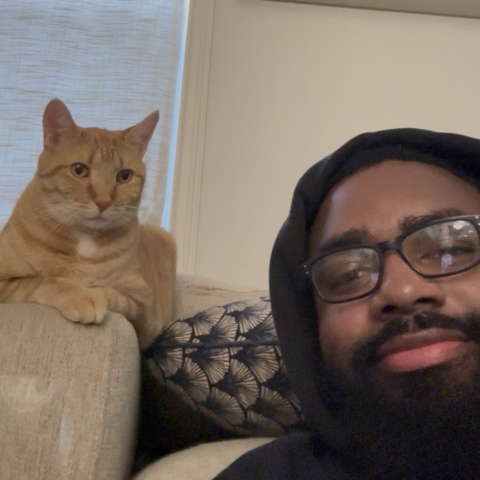 Cat Sitter With Multi Cat Experience