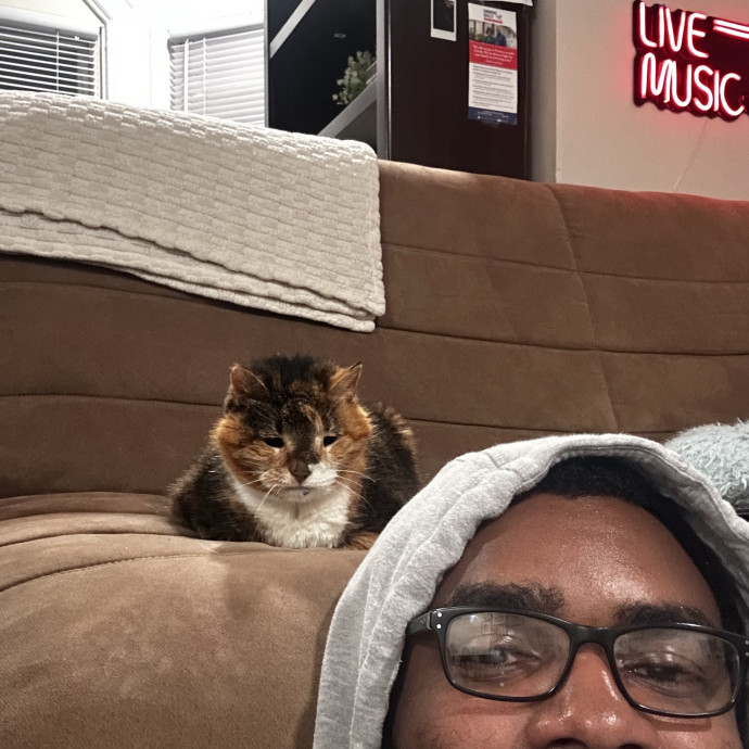 Cat Sitter With Multi Cat Experience