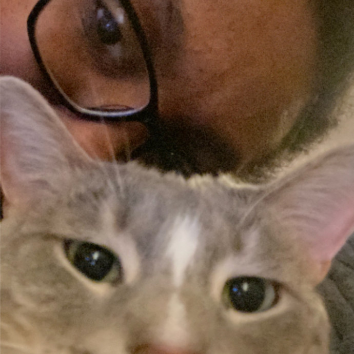 Loving Cat Care From A True Cat Person photo 2