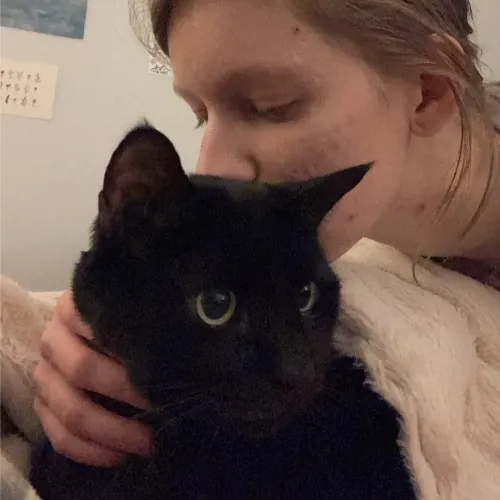 Danica's Cat-Sitting Service