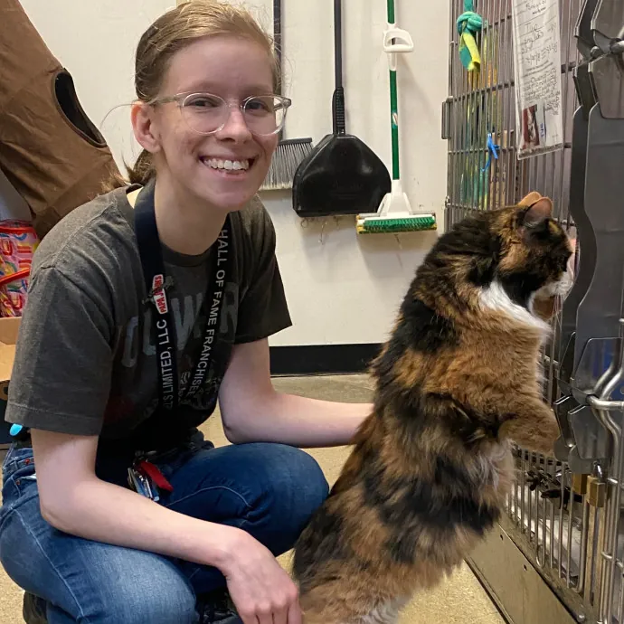 Danica's Cat-Sitting Service