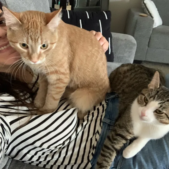 Remember The Ala-Meow