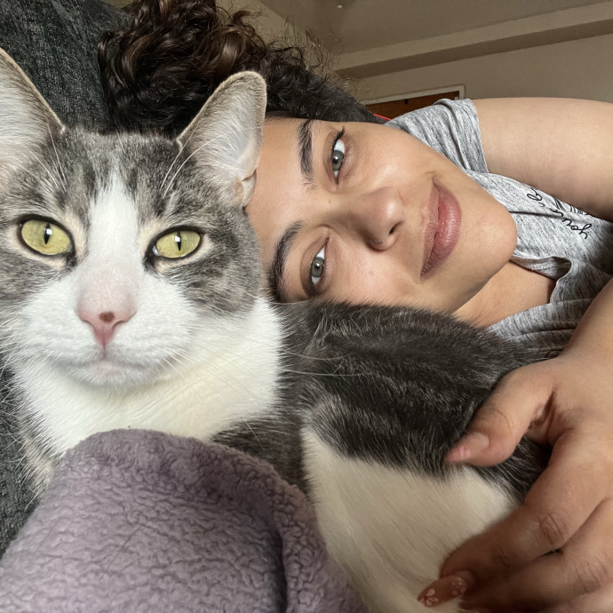 Christine The Kitty Concierge