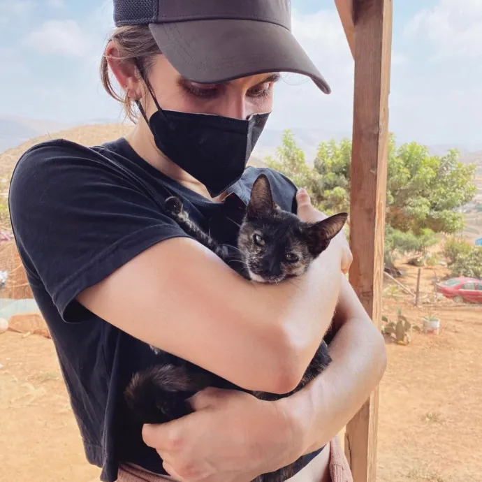 Taylor Doty's Cat Sitting Services photo 2