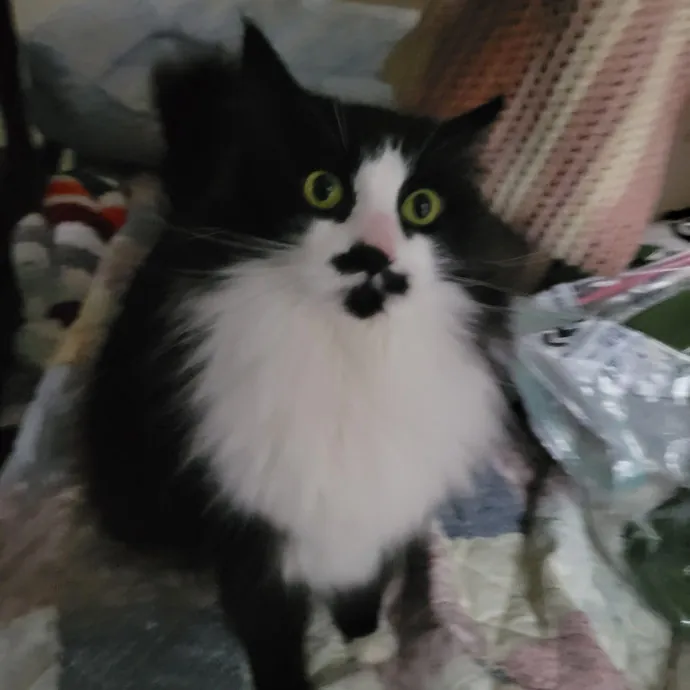 Sally F.