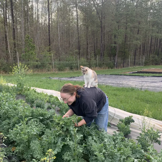 Passionate And Professional Cat Sitter