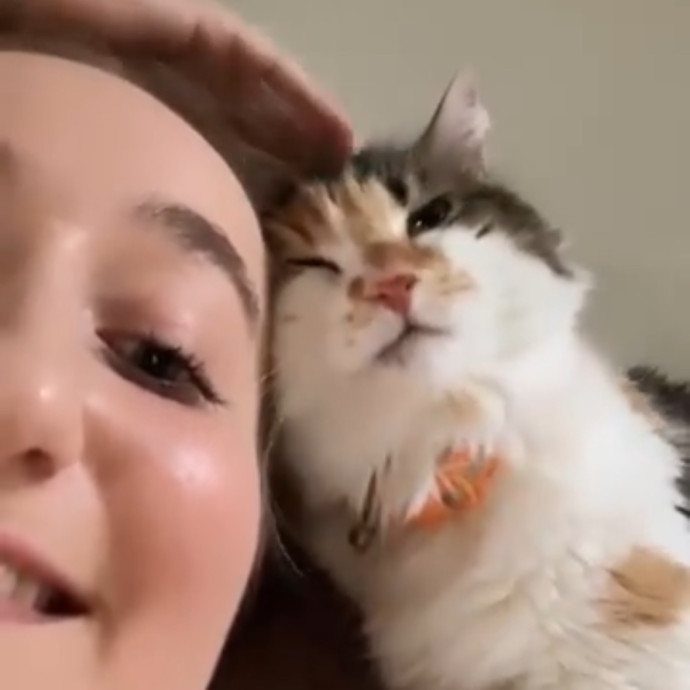 Passionate And Professional Cat Sitter
