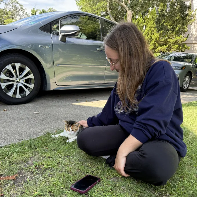 Passionate And Professional Cat Sitter