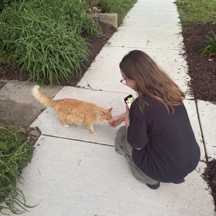 Passionate And Professional Cat Sitter