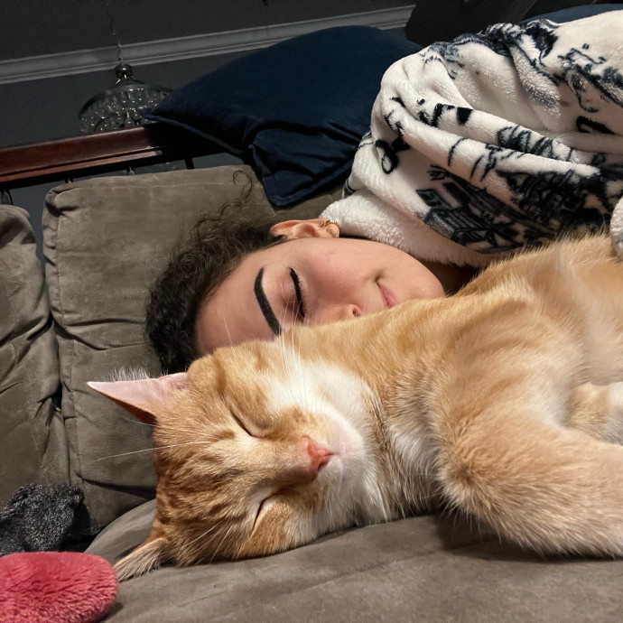 Cat Videos Are My Love Language