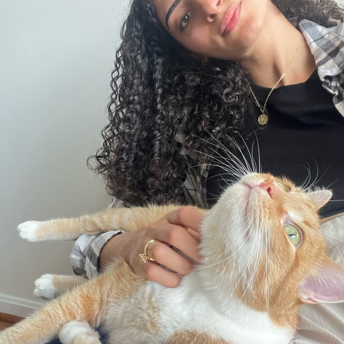 Cat Videos Are My Love Language