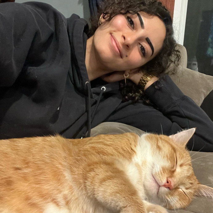 Cat Videos Are My Love Language